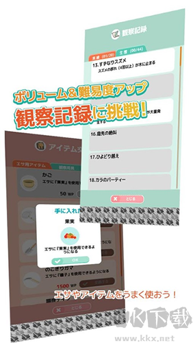 小鸟观察2最新版