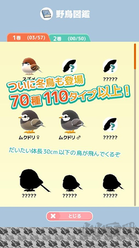小鸟观察2最新版