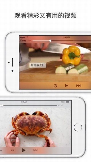 厨房故事app安卓版