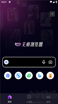 i浏览器app专业版