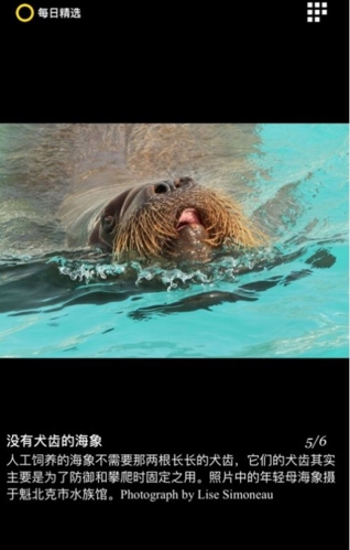 每日精选app绿色版