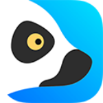 狐猴浏览器app手机版 v2.6.1