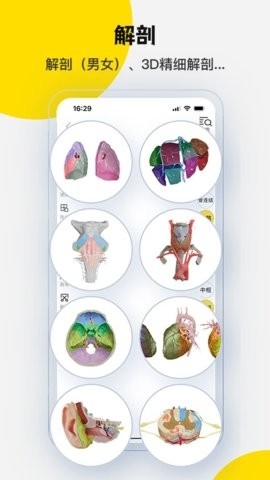 3Dbody解剖(医学平台应用)