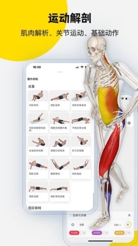 3Dbody解剖(医学平台应用)