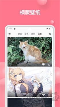 汽水壁纸最新版