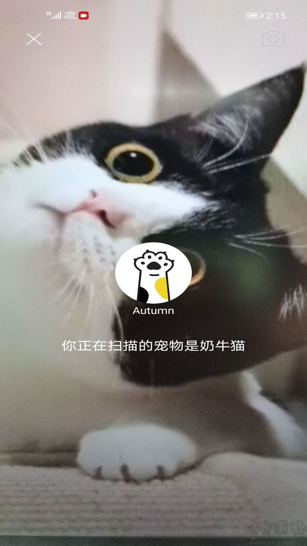 握爪app官方新版本