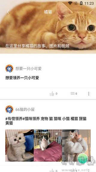 握爪app官方新版本