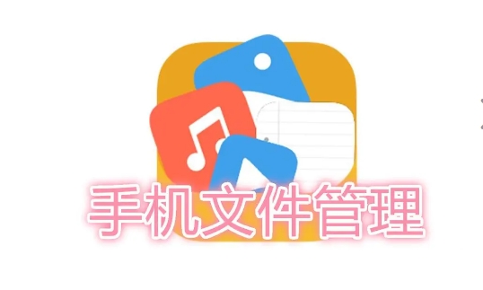 2024手机文件管理软件必备大全-文件管理软件排行榜-手机必备文件管理大全