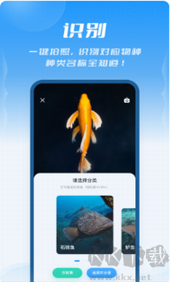 问鱼官网版