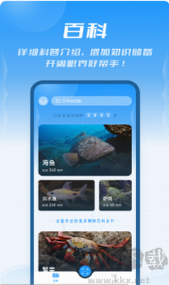 问鱼官网版