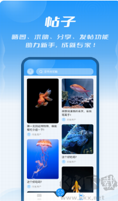 问鱼官网版