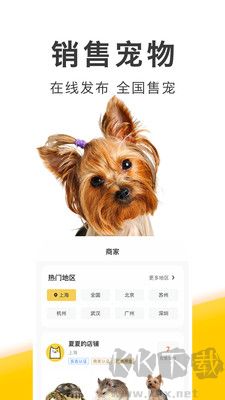买只宠物正版