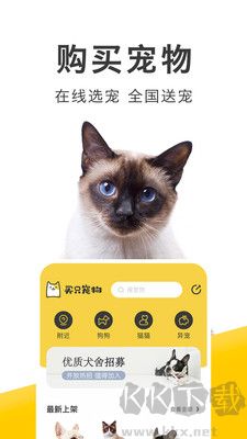 买只宠物正版