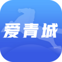 爱青城正版