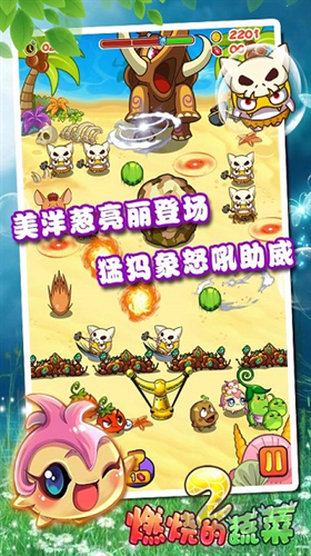 燃烧的蔬菜2全新版