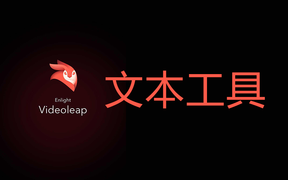 videoleap热门版本推荐-videoleap实用版本集合-videoleap最新版/安卓版/绿色版/专业版
