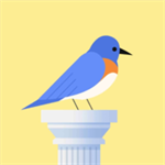 有弹性的鸟(Bouncy Bird) v1.0.5安卓版