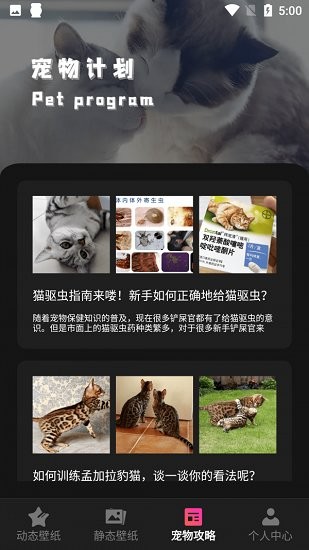 猫咪壁纸(Kittens Wallpapers)