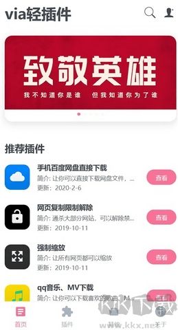 via轻插件高级版