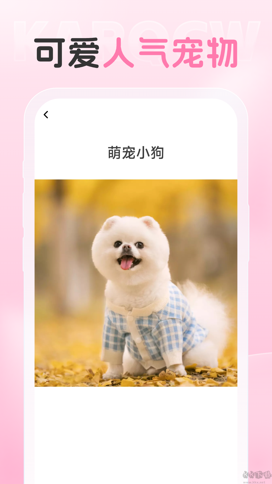 爱炫相机app绿色版