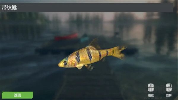 终极钓鱼模拟器无限金币版游戏攻略1