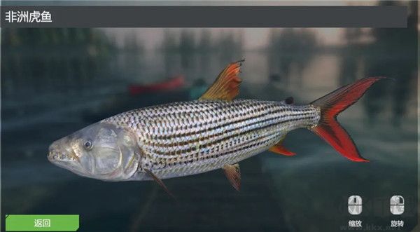 终极钓鱼模拟器无限金币版游戏攻略3