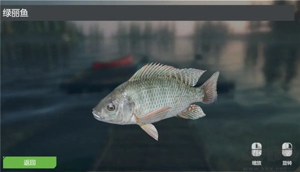 终极钓鱼模拟器无限金币版游戏攻略6
