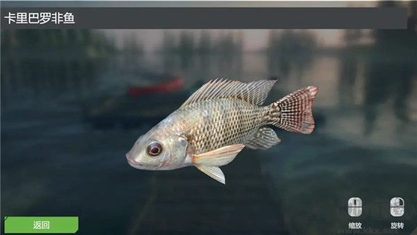 终极钓鱼模拟器无限金币版游戏攻略8