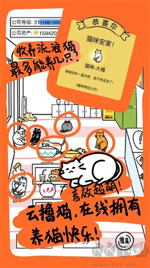 今天你当老板了吗最新版