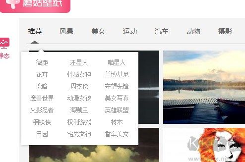蘑菇壁纸电脑版