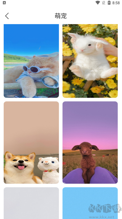 花令壁纸app安卓版