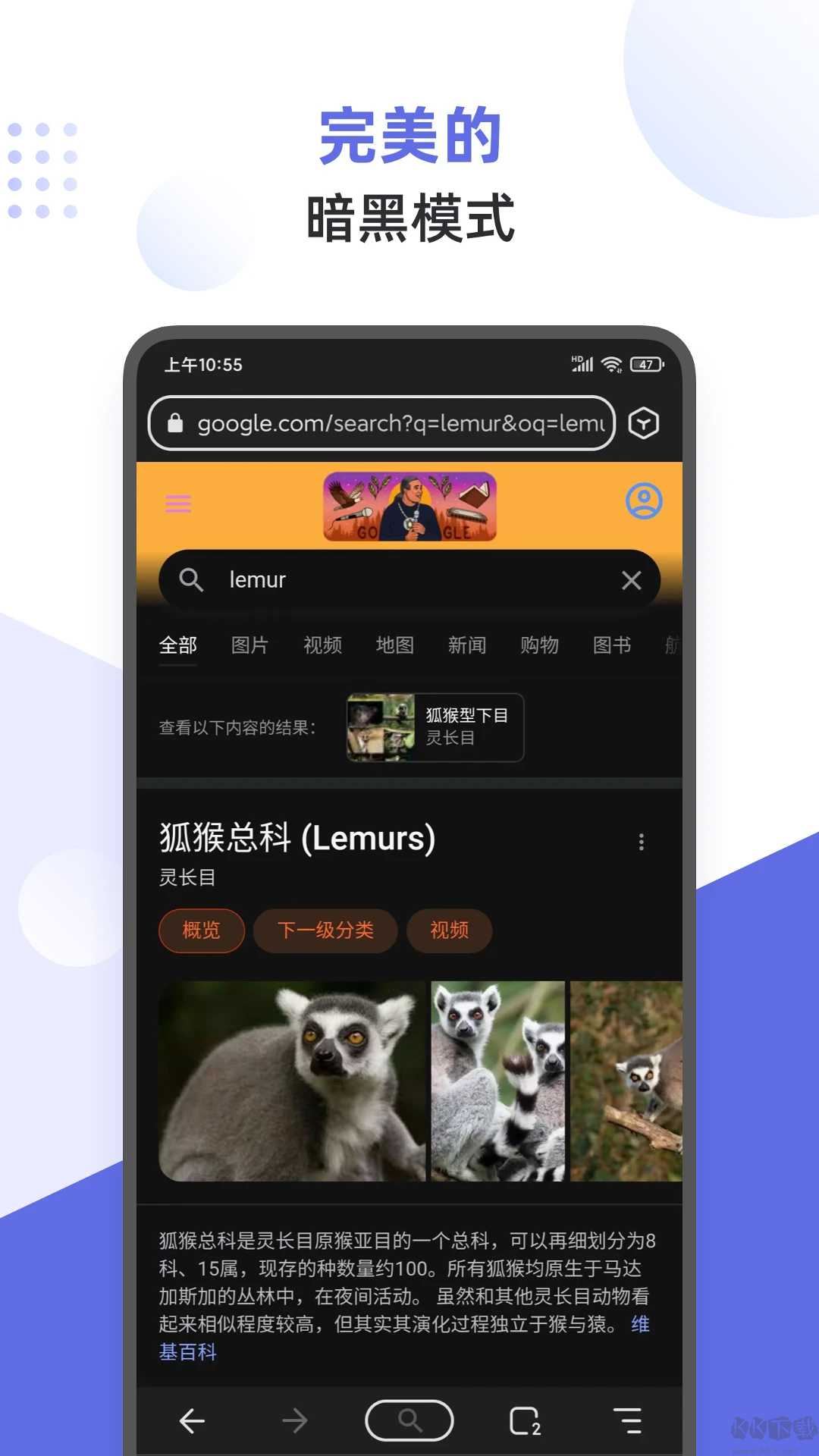 狐猴浏览器APP2025最新版