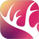 阡鹿旅游appv8.5.8