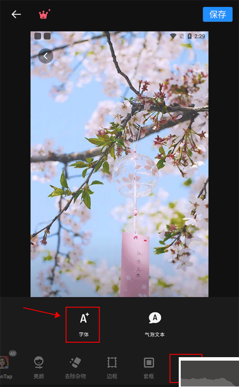 专业照片编辑器（Polish）