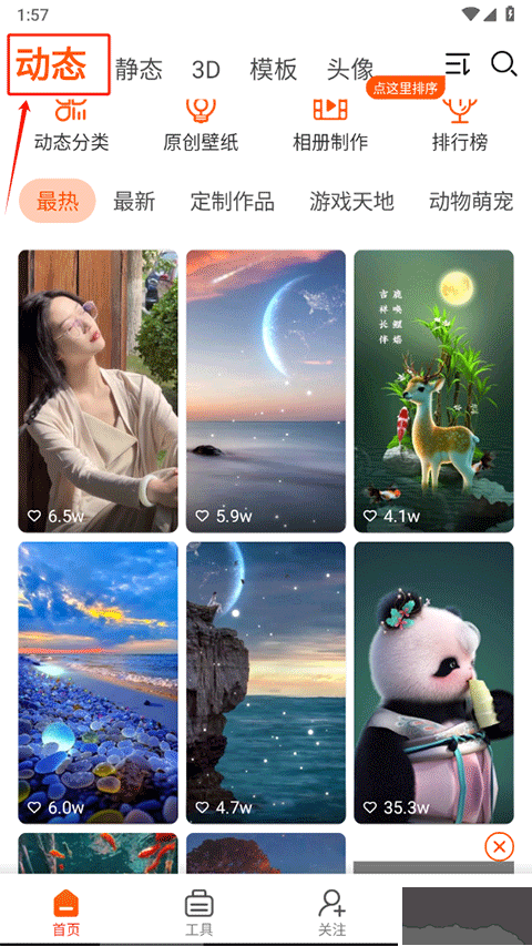 壁纸精灵最新版