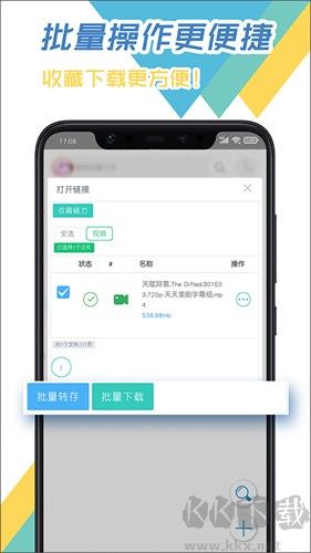 飞鸟下载器