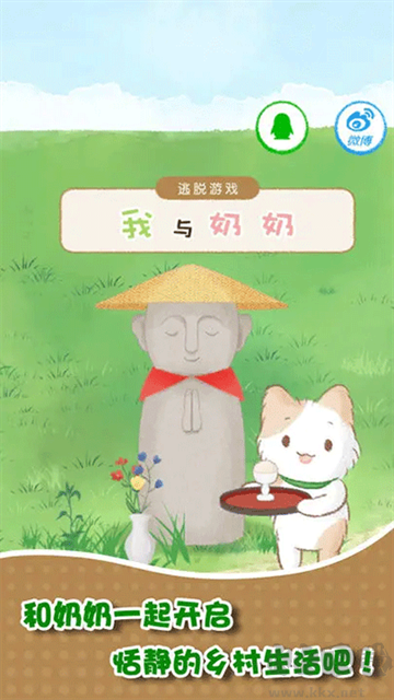我和奶奶手机版