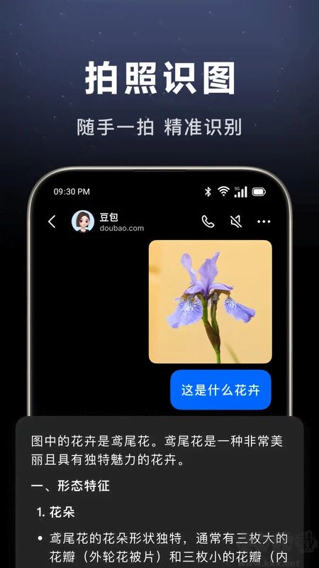 豆包AI助手