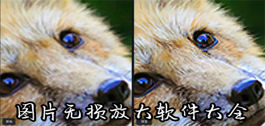 免费无损放大软件合集-图片无损放大软件大全-照片无损放大处理软件推荐