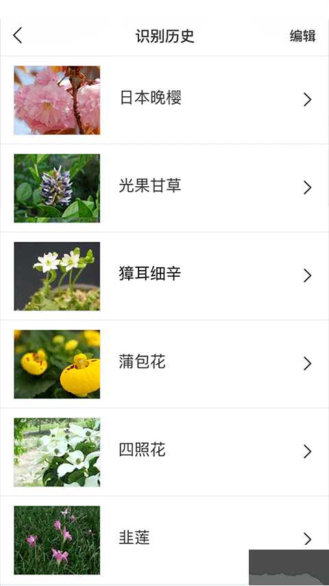 识花APP