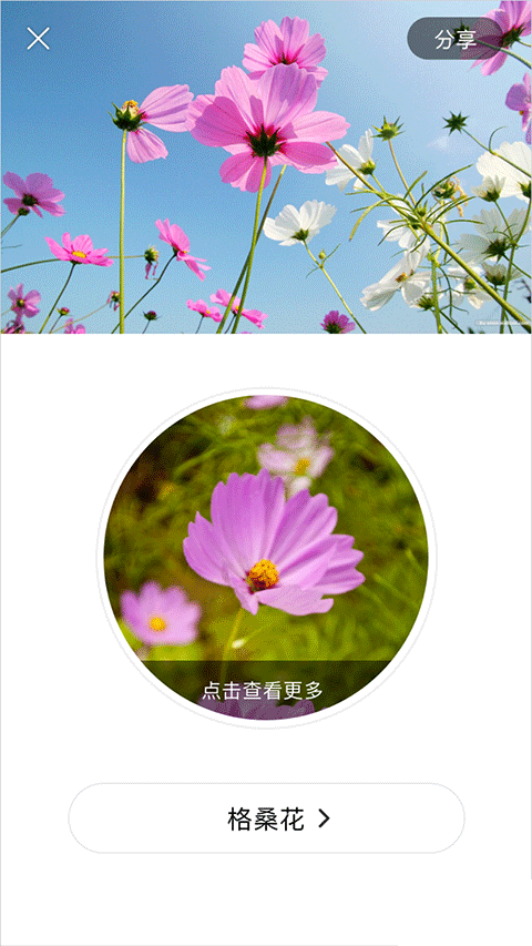 识花APP