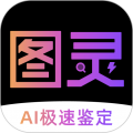 图灵鉴定(AI鉴定)v2.05.17手机版