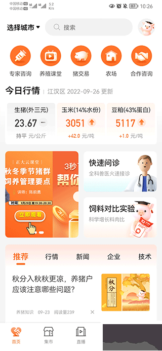 正大猪博士app