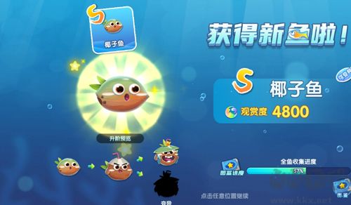 萌鱼泡泡最新版