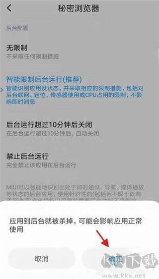 秘密浏览官网版