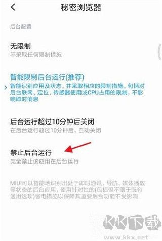 秘密浏览官网版