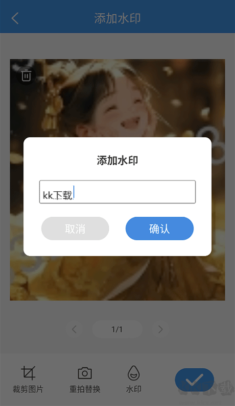 夏深扫描专业版