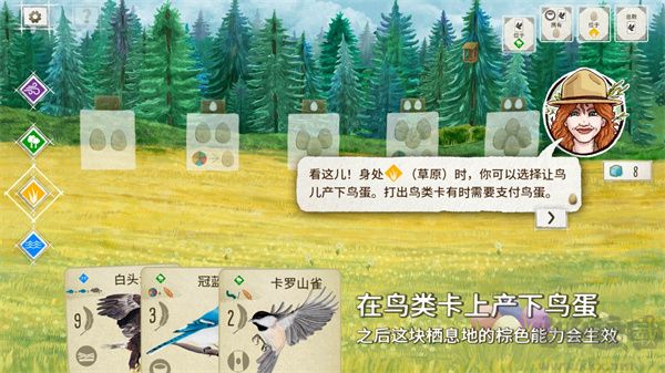 展翅翱翔官方版