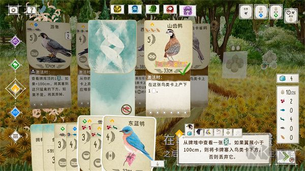 展翅翱翔官方版
