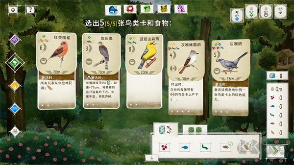 展翅翱翔官方版